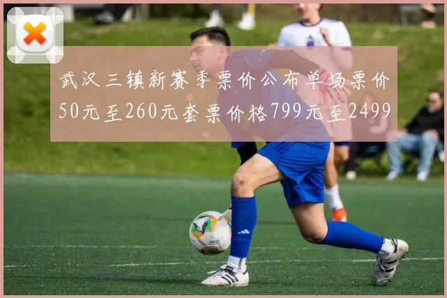 武汉三镇新赛季票价公布单场票价50元至260元套票价格799元至2499元